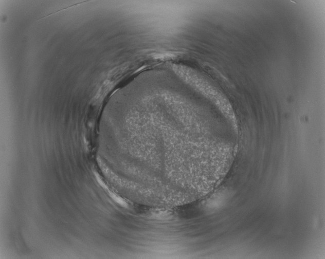 X0000053050624200508011849