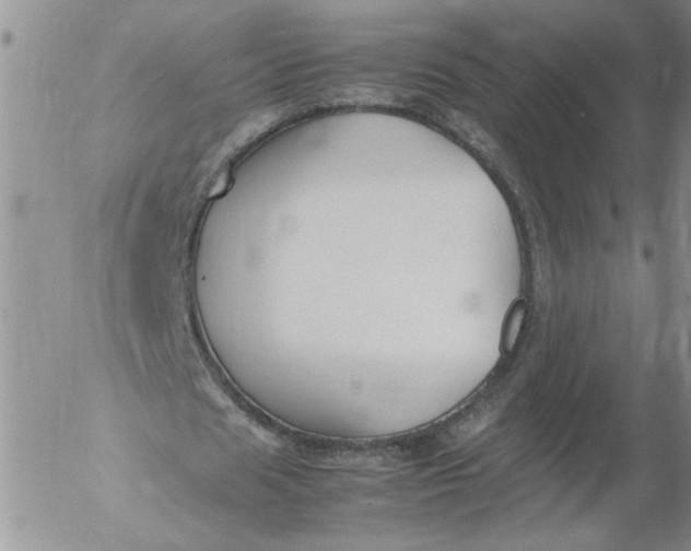 X0000053050625200508011848