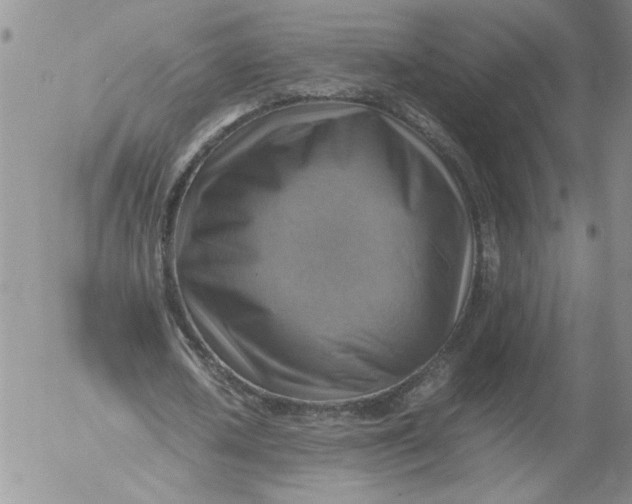 X0000053050626200508011848