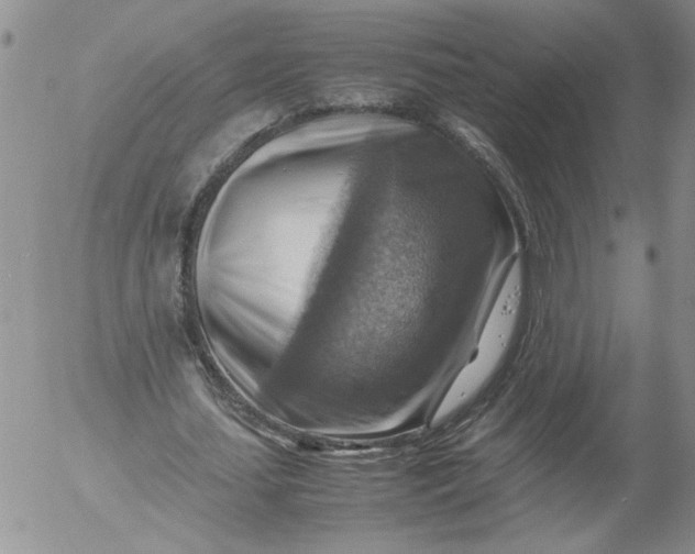 X0000053050627200508011848