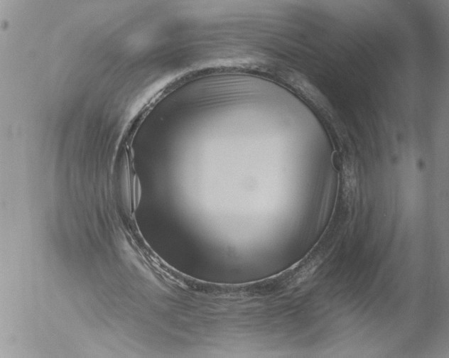 X0000053050628200508011848