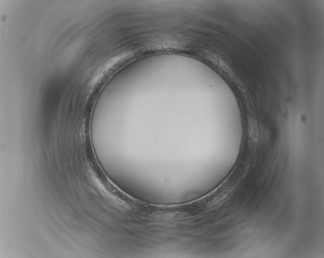 X0000053050629200508011849