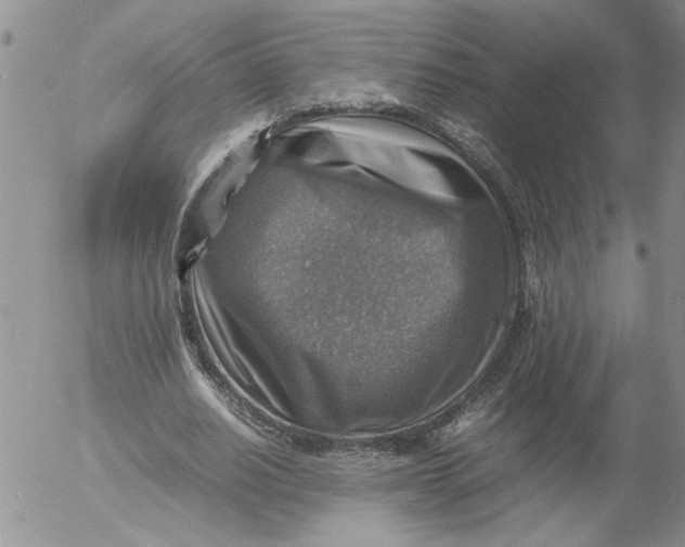 X0000053050630200508011849