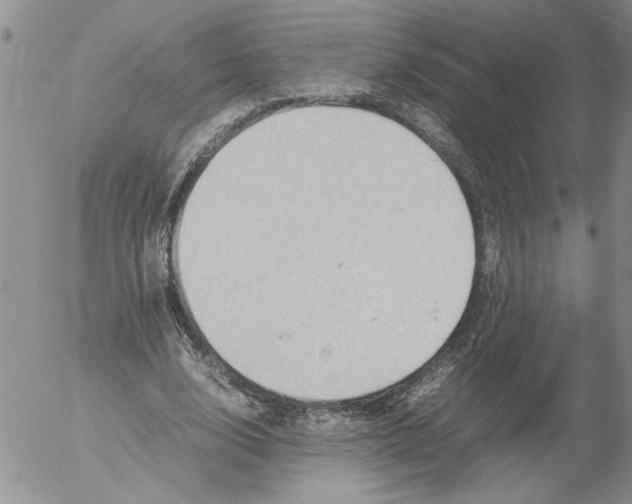 X0000053050632200508011849