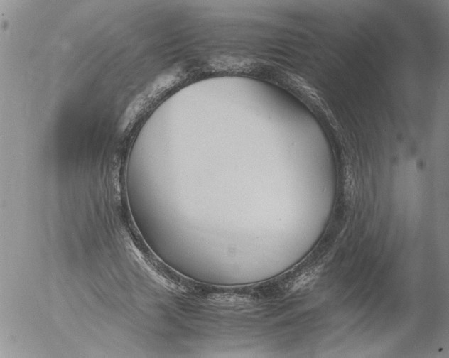 X0000053050633200508011849