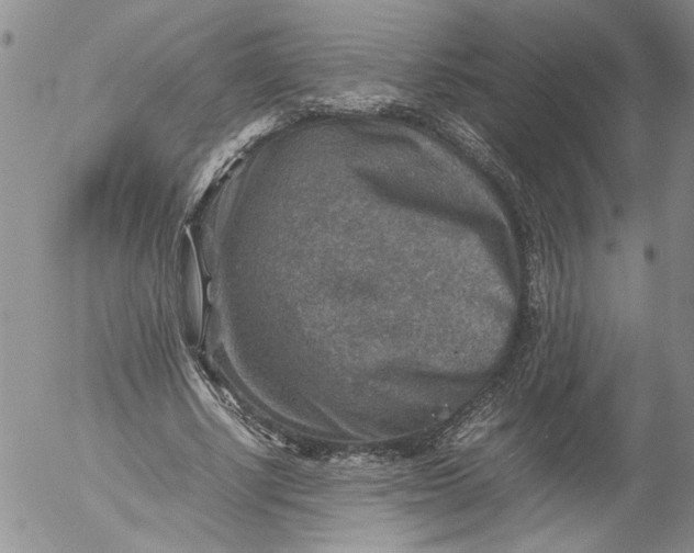 X0000053050634200508011849