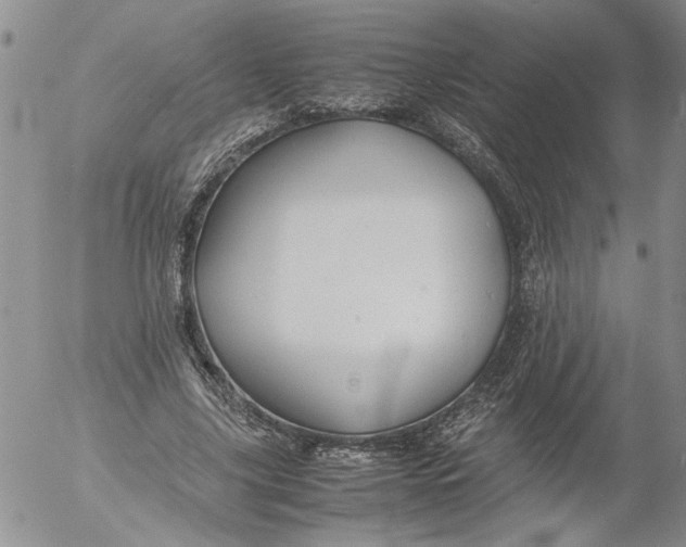 X0000053050635200508011849