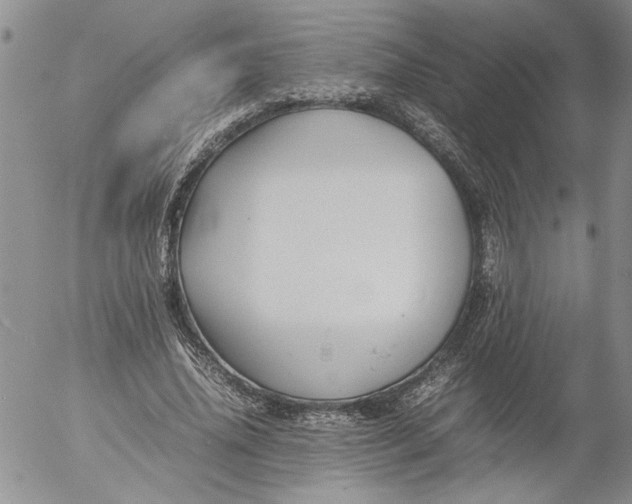 X0000053050636200508011849