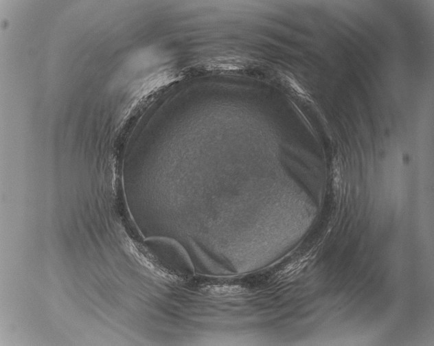 X0000053050637200508011849