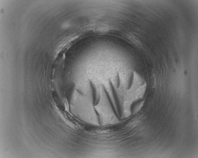 X0000053050638200508011849