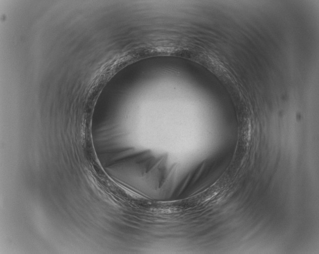 X0000053050639200508011849