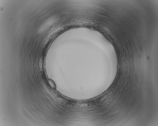 X0000053050640200508011849