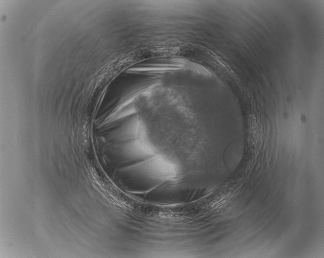 X0000053050641200508011849