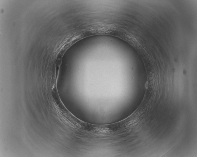 X0000053050642200508011849