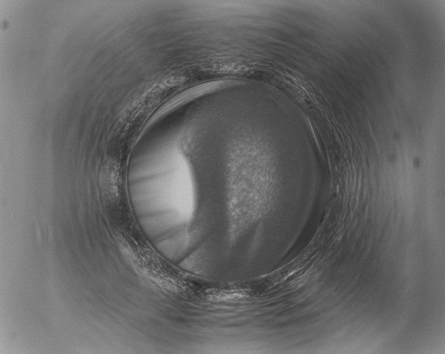 X0000053050643200508011849