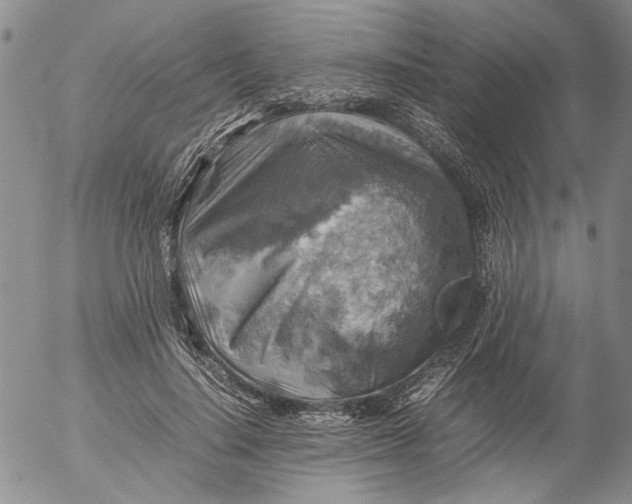 X0000053050644200508011849