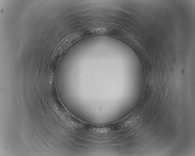 X0000053050645200508011849