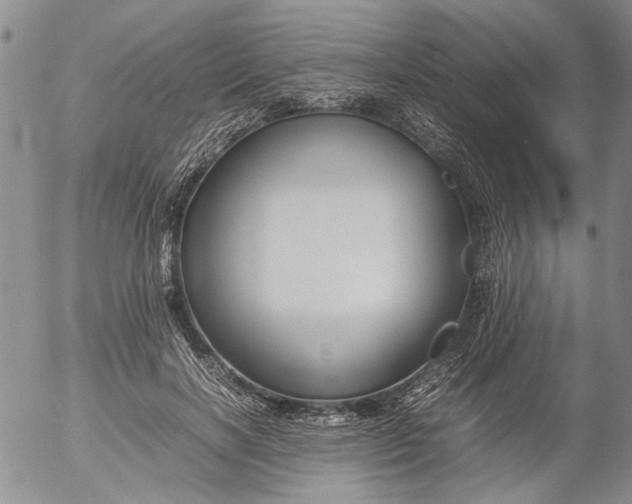 X0000053050646200508011849