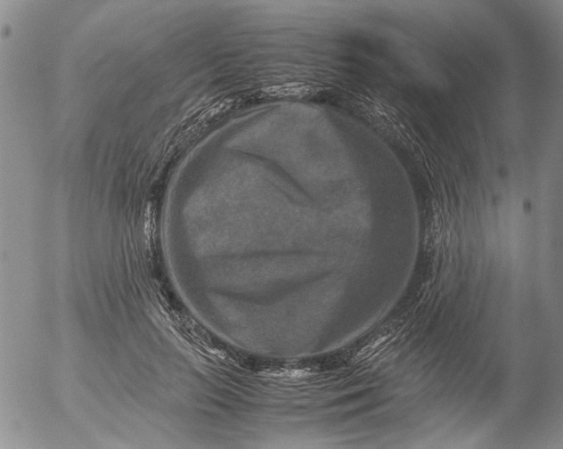 X0000053050647200508011849