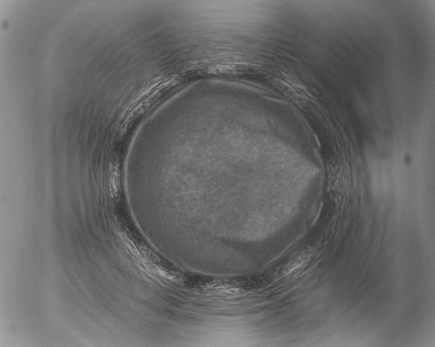 X0000053050648200508011849