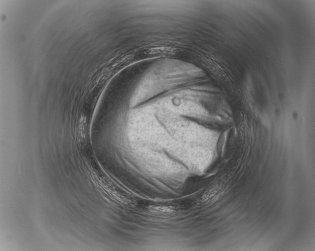 X0000053050649200508011849