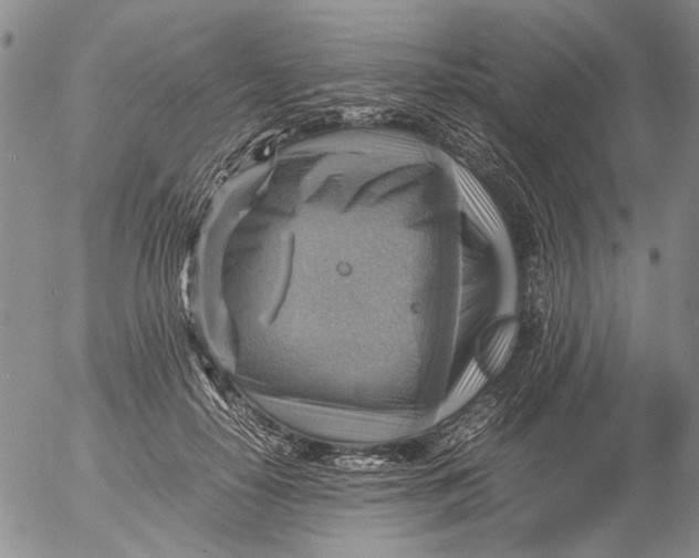 X0000053050650200508011849