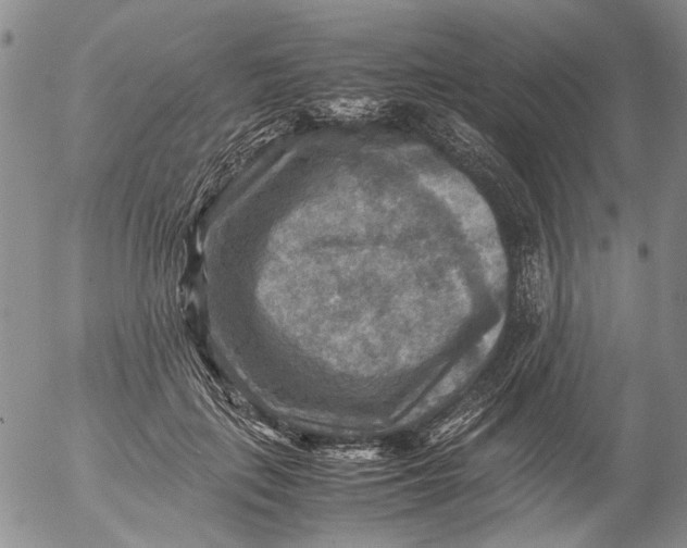 X0000053050651200508011849