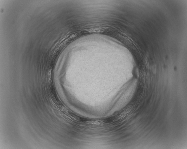 X0000053050652200508011849