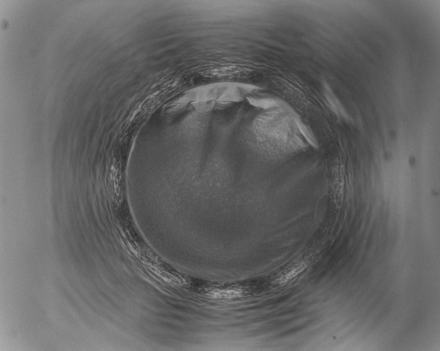 X0000053050653200508011849