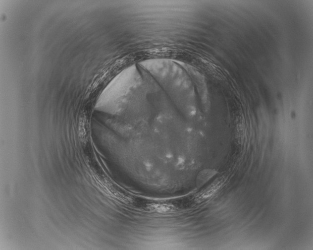 X0000053050654200508011849