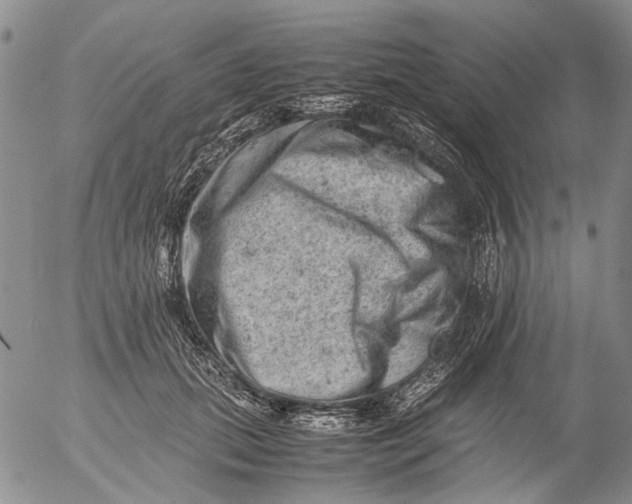 X0000053050655200508011849