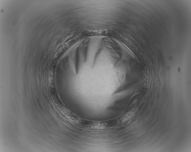 X0000053050656200508011849