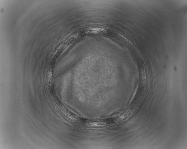 X0000053050657200508011849