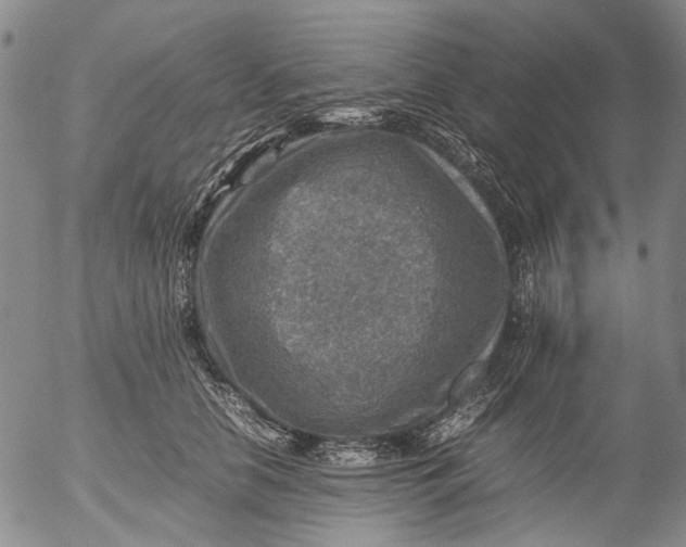 X0000053050658200508011849