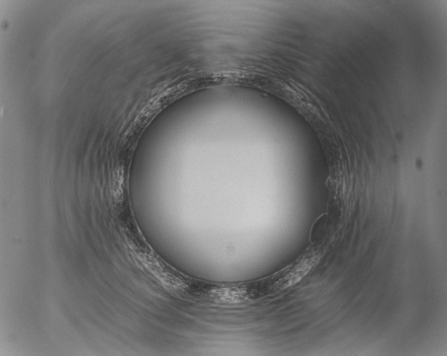 X0000053050660200508011849