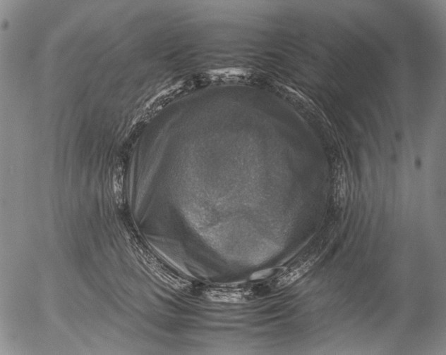 X0000053050661200508011849