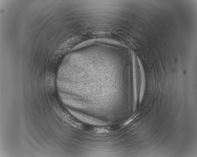 X0000053050662200508011849