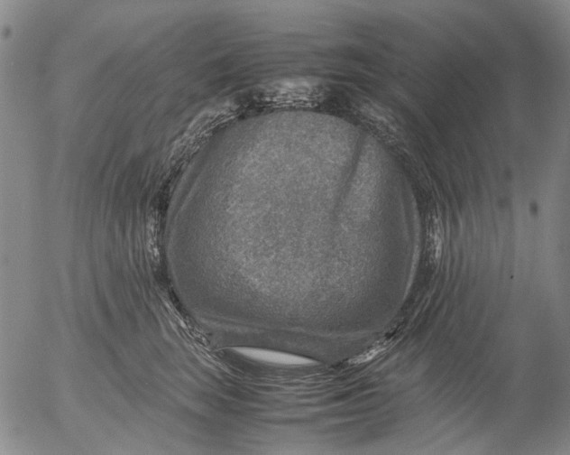 X0000053050663200508011849