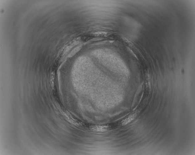 X0000053050664200508011849