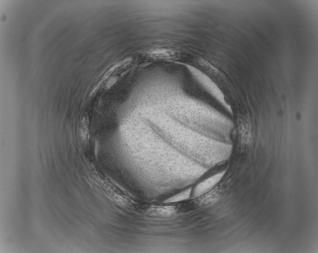 X0000053050665200508011849