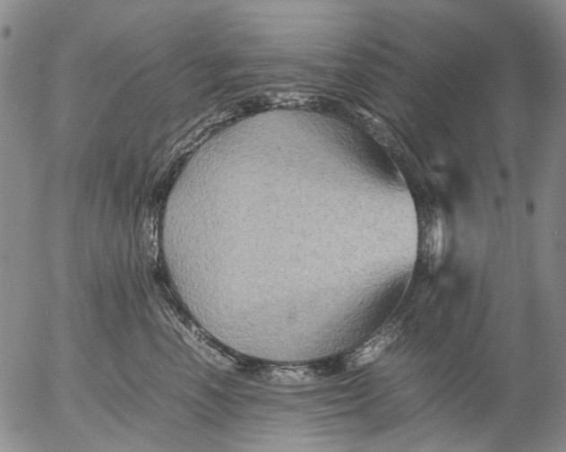 X0000053050666200508011849