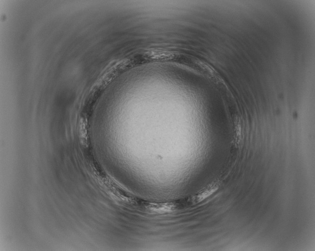 X0000053050667200508011849