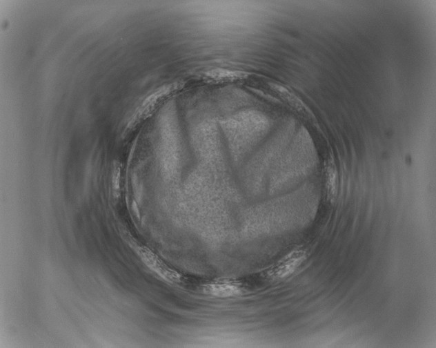 X0000053050668200508011849