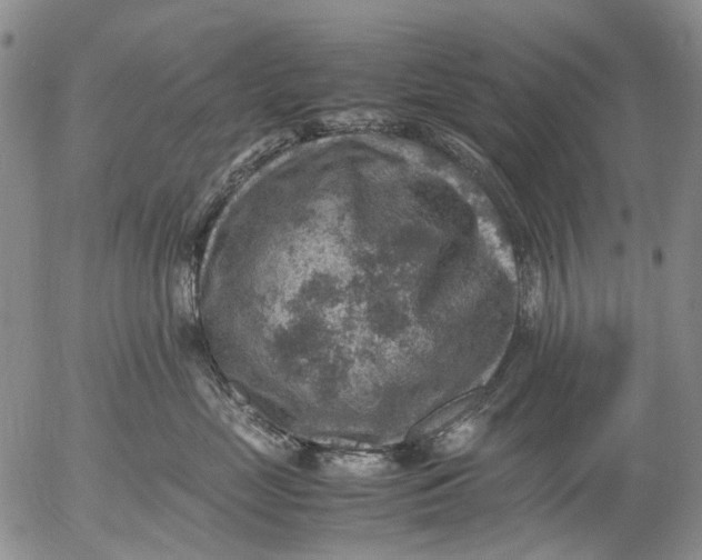 X0000053050669200508011849