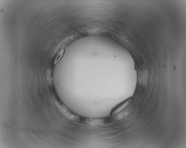 X0000053050670200508011849