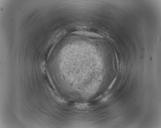 X0000053050671200508011849