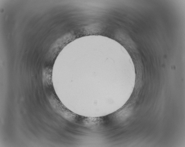 X0000053050672200508011849