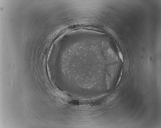 X0000053050673200508011848