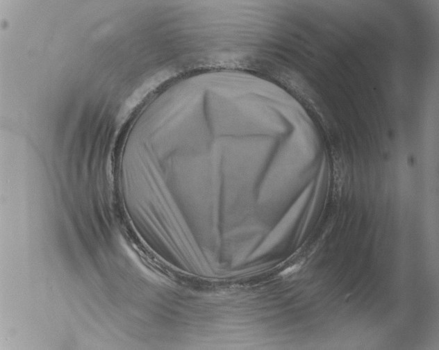 X0000053050674200508011848