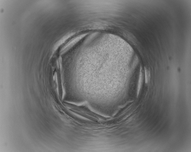 X0000053050675200508011848